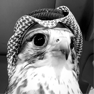 Telegram profile photo for أغراب.