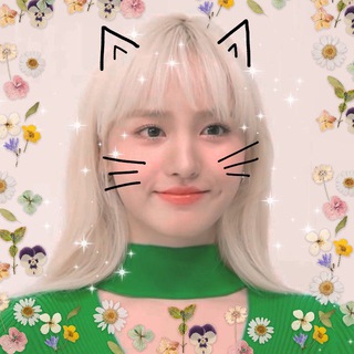 Telegram profile photo for kepocheese cart 🧀🛒