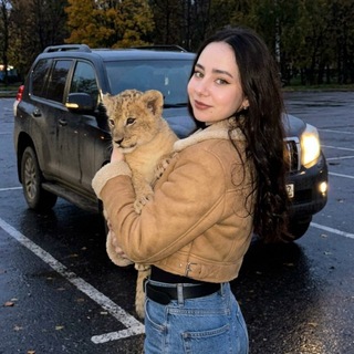 Telegram profile photo for SOFIKO PROMTS