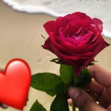 Telegram profile photo for عسلية🌼