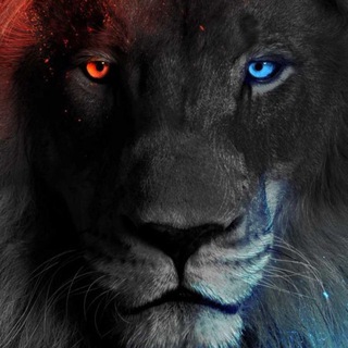 Telegram profile photo for Cool Down Crypto