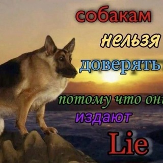 Telegram profile photo for Чат бездарей