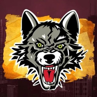 Telegram profile photo for Чикаго Вулвз | Chicago Wolves