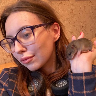 Telegram group profile photo for Sofia Chat