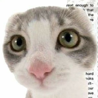 Telegram profile photo for biti