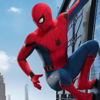 Telegram profile photo for Биржа заказчиков | Spider