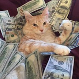 Telegram profile photo for McQueen Закупает