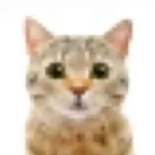 Telegram profile photo for молчаливое согласие небес