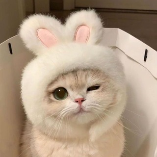 Telegram profile photo for Я хочу