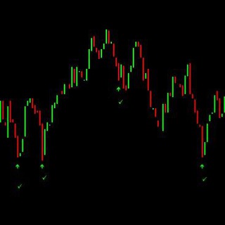 Telegram profile photo for Premium Indicator & EA MT4 MT5