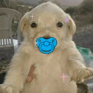 Telegram group profile photo for OG BabyJotchua