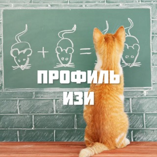 Telegram profile photo for БЕСПЛАТНАЯ ПОДГОТОВКА К ПРОФИЛЮ 2026
