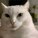 Telegram profile photo for misyana stash #09