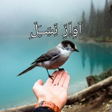 Telegram profile photo for ویس های گیتاری