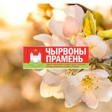 Telegram profile photo for Чашники сейчас