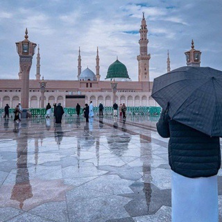 Telegram profile photo for زَاْدُ الرَّوَاحِل 𓂆