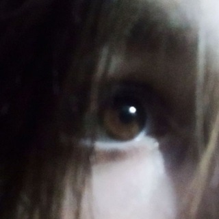 Telegram profile photo for мы?