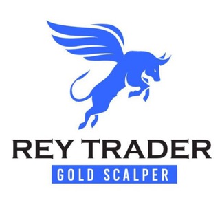 Telegram profile photo for Rey Trading Network