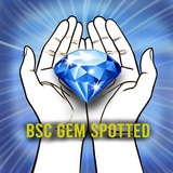 Telegram profile photo for BSC GEM SPOTTED π π