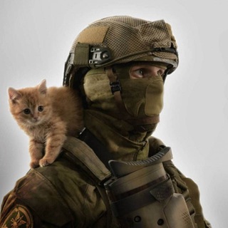 Telegram profile photo for Berichten uit Donbass