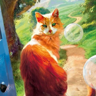 Telegram profile photo for The door into summer