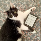 Telegram profile photo for Книги и коты