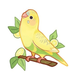 Telegram profile photo for ₊˚꒰🍋🟩꒱‧ ׄ𝑝𝑎𝑟𝑟𝑜𝑡_𝑝𝑙𝑒𝑡𝑒𝑡 ‧₊ ᵎᵎ