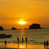 Telegram profile photo for Phuket Insider