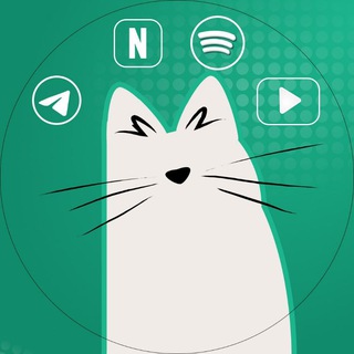 Telegram group profile photo for پرمیو • Permio | خرید استارز، اسپاتیفای و تلگرام پرمیوم