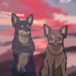 Telegram profile photo for Ⲏⲟⲣⲕⲁ ⲡⲥυⲏⲟⲃыⲭ