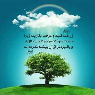 Telegram profile photo for مرکبات🍋irandashtnaz@ باغداری .کشاورزی 🇮🇷