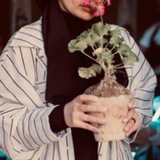 Telegram profile photo for Mojgan | Mozhgan | مژگان