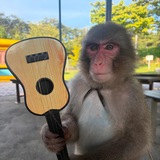 Telegram profile photo for Special Music Interest