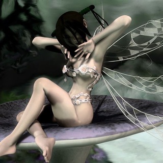 Telegram profile photo for wych elm