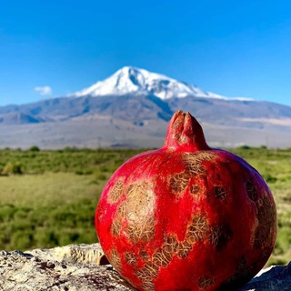 Telegram profile photo for Армянский национальный канал 🍇