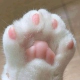 Telegram profile photo for claw