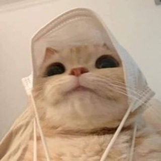 Telegram profile photo for Mercy