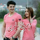 Telegram profile photo for 🖌ڪَِــوَِچَِهَِ بَِاَِغَِ دَِلَِبَِرَِی🖌