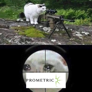Telegram profile photo for Prometric west/southern KSA