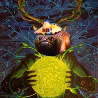 Telegram group profile photo for Study of brain rot