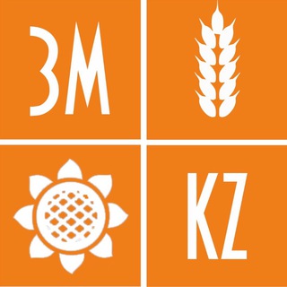 Telegram profile photo for ЗМ канал