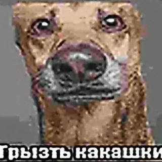Telegram profile photo for велясік
