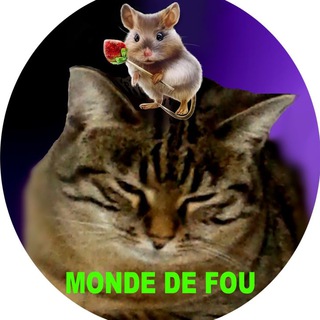 Telegram profile photo for HUMOUR et INFOS