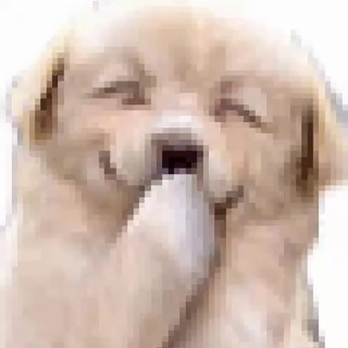 Telegram profile photo for 🤣🤣🤣