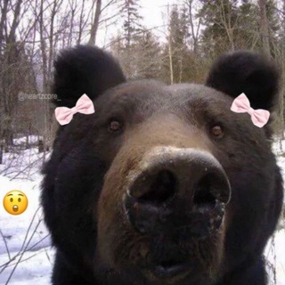 Telegram profile photo for Чоч💥💥💥
