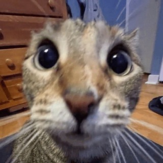 Telegram profile photo for неня!!!!🏳🌈🏳🌈🏳🌈