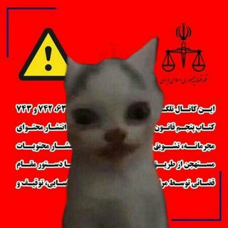Telegram profile photo for Crypt hamid