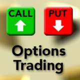 Telegram profile photo for Option Bumpers