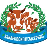 Telegram profile photo for Хабплемсервис