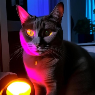 Telegram profile photo for Мемновое🫠